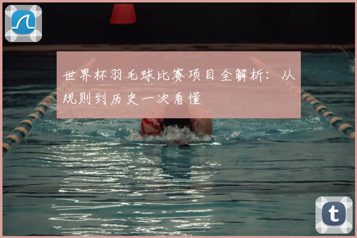 世界杯羽毛球比赛项目全解析:从规则到历史一次看懂