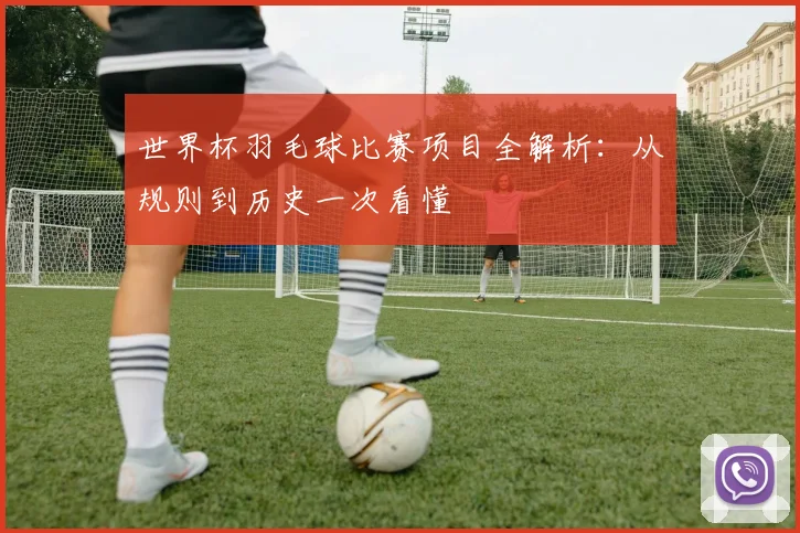 世界杯羽毛球比赛项目全解析:从规则到历史一次看懂