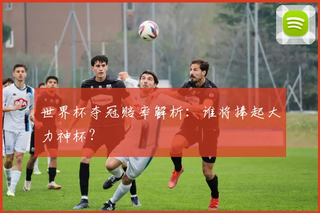 世界杯夺冠赔率解析：谁将捧起大力神杯？