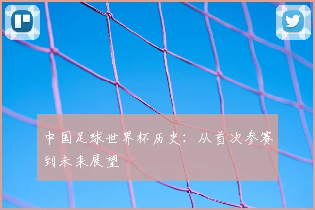 中国足球世界杯历史:从首次参赛到未来展望