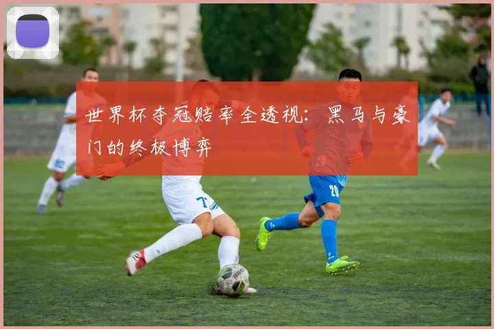 世界杯夺冠赔率全透视：黑马与豪门的终极博弈
