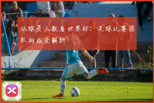 从球员人数看世界杯:足球比赛团队构成全解析